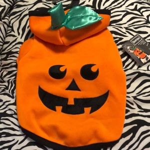 Pumpkin Pet Hoodie (S)